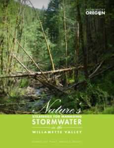 Stormwater Genius of Place Project Summary Report - COVER