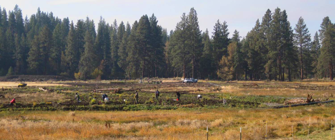 Habitat Restoration Services